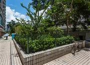 聚龙大厦-环境绿化