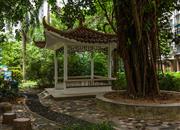 南天大厦（二期）-环境绿化