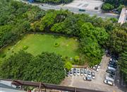 南天大厦（二期）-环境绿化