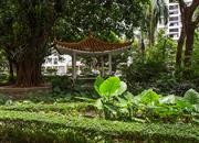 南天大厦（二期）-环境绿化