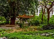 南天大厦（二期）-环境绿化