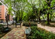 南天大厦（二期）-环境绿化