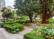 南天大厦（二期）-环境绿化