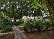 南天大厦（一期）-环境绿化