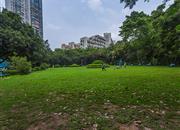 南天大厦（一期）-环境绿化