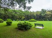 南天大厦（一期）-环境绿化