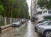 鹏盛村-环境绿化