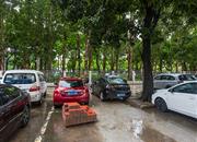 鹏盛村-环境绿化