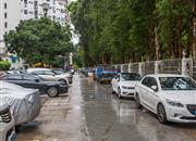 鹏盛村-环境绿化