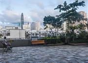 群星广场-环境绿化