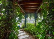 群星广场-环境绿化