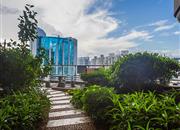 群星广场-环境绿化