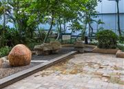 群星广场-环境绿化