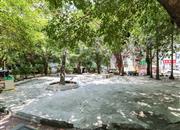 景贝南-环境绿化