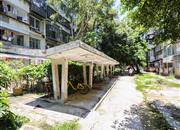 景贝南-环境绿化