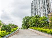 国展苑-环境绿化