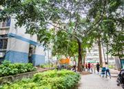 国展苑-环境绿化