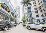 国展苑-环境绿化