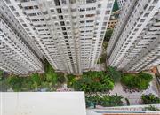 玮鹏花园（三期）-俯瞰图