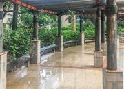 玮鹏花园（三期）-环境绿化