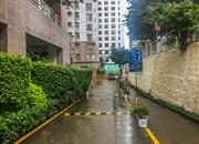 玮鹏花园（三期）-环境绿化