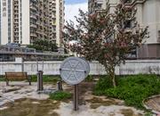 东门168-环境绿化