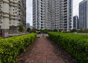 东门168-环境绿化