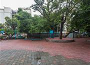 园岭花园-环境绿化