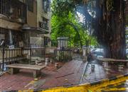 园岭花园-环境绿化