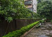 园岭花园-环境绿化