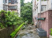 园岭花园-环境绿化