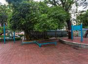 园岭花园-环境绿化