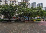 园岭花园-环境绿化