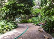 圣淘沙-环境绿化