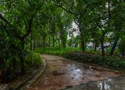 长安花园-环境绿化