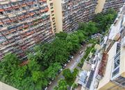 长城大厦(二花园)-俯瞰图