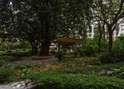 长城大厦(二花园)-环境绿化