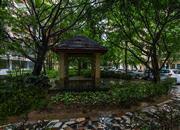 长城大厦(一花园)-环境绿化