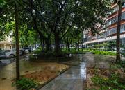 长城大厦(一花园)-环境绿化