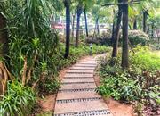 中熙香缤山-环境绿化