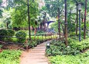 中熙香缤山-环境绿化