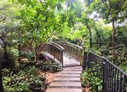 中熙香缤山-环境绿化