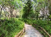 御龙居-环境绿化