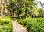 御龙居-环境绿化