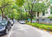 城市花园(龙岗)-环境绿化