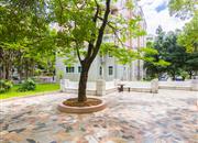 城市花园(龙岗)-环境绿化