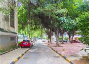 城市花园(龙岗)-环境绿化