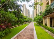 阅山华府-环境绿化