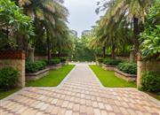 阅山华府-环境绿化