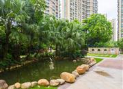 阅山华府-环境绿化